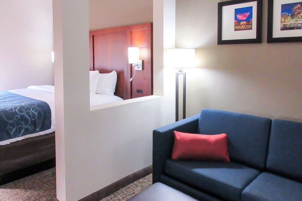 Comfort Suites Greensboro-High Point Pokoj fotografie