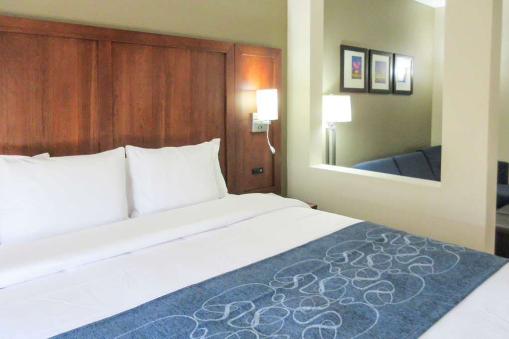 Comfort Suites Greensboro-High Point Pokoj fotografie